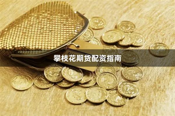 攀枝花期货配资指南